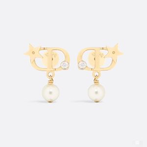Dior Earrings cd1001