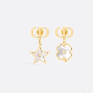 Dior Earrings cd1002