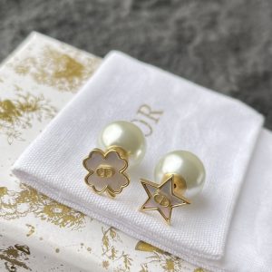 Dior Earrings cd1010