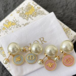 Dior Earrings cd1011