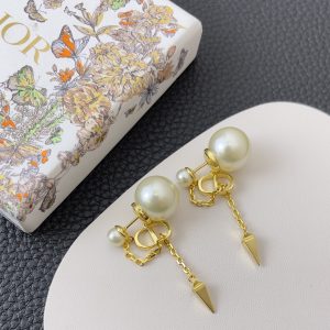 Dior Earrings cd1014
